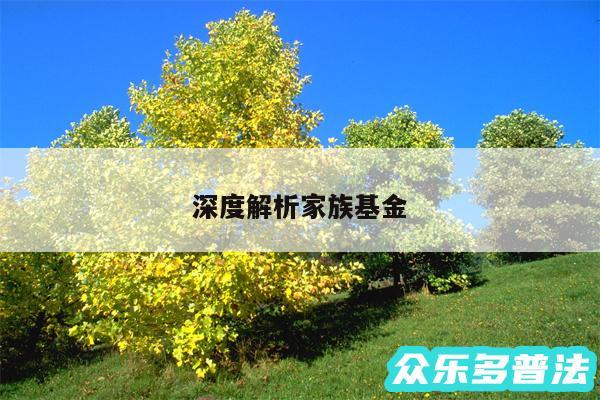深度解析家族基金