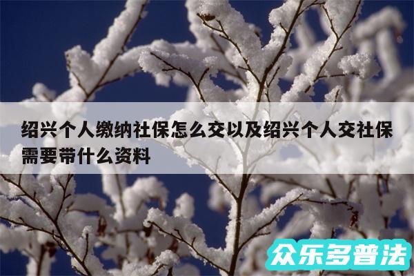 绍兴个人缴纳社保怎么交以及绍兴个人交社保需要带什么资料