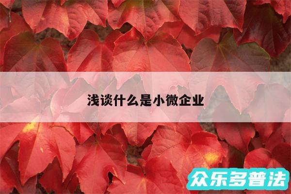 浅谈什么是小微企业