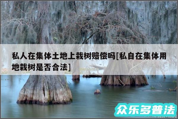 私人在集体土地上栽树赔偿吗及私自在集体用地栽树是否合法