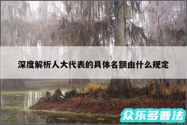 深度解析人大代表的具体名额由什么规定