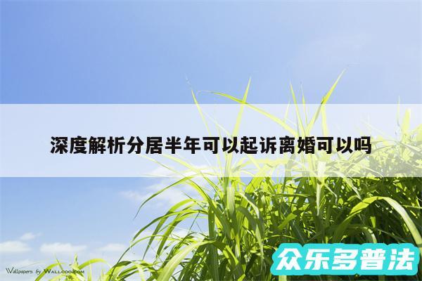 深度解析分居半年可以起诉离婚可以吗