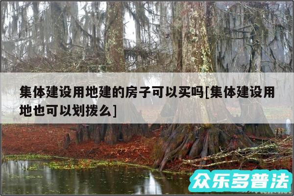 集体建设用地建的房子可以买吗及集体建设用地也可以划拨么