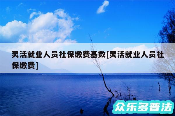 灵活就业人员社保缴费基数及灵活就业人员社保缴费