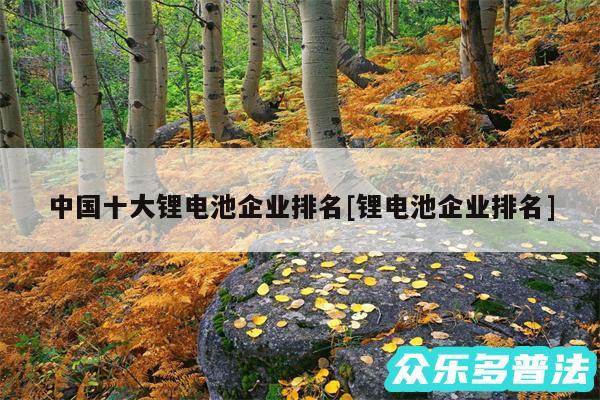 中国十大锂电池企业排名及锂电池企业排名