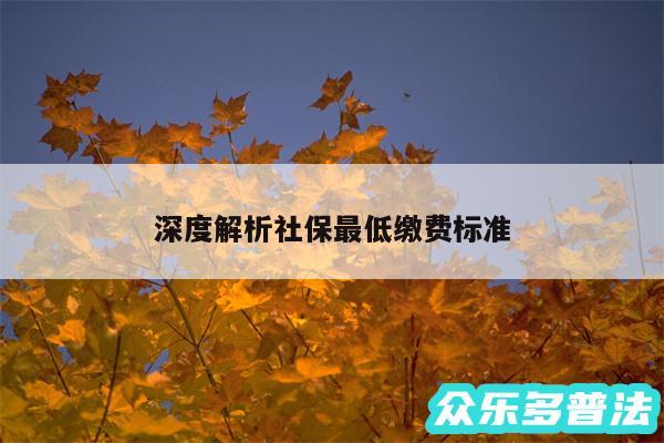 深度解析社保最低缴费标准