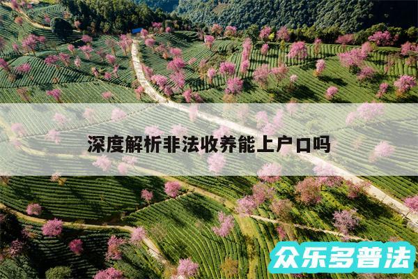 深度解析非法收养能上户口吗