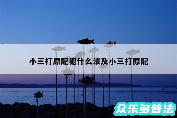 小三打原配犯什么法及小三打原配