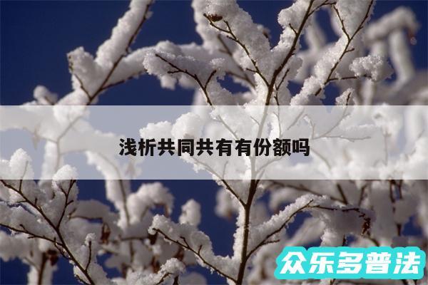 浅析共同共有有份额吗