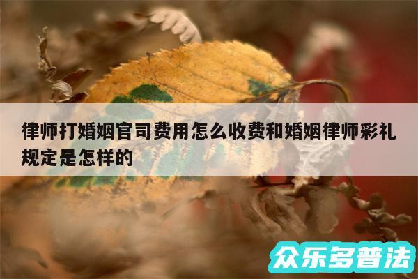 律师打婚姻官司费用怎么收费和婚姻律师彩礼规定是怎样的