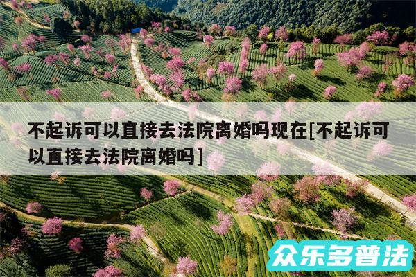 不起诉可以直接去法院离婚吗现在及不起诉可以直接去法院离婚吗