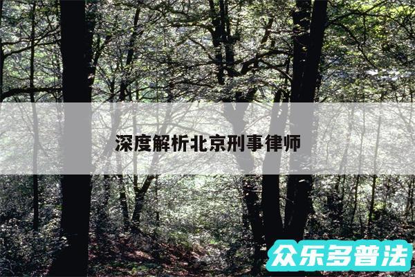 深度解析北京刑事律师