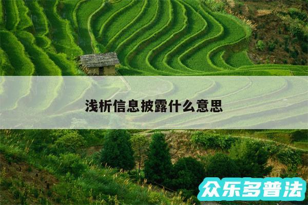 浅析信息披露什么意思