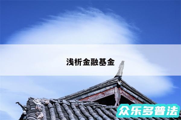 浅析金融基金