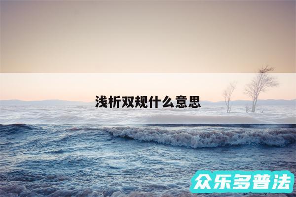 浅析双规什么意思