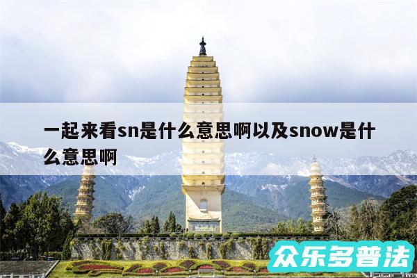 一起来看sn是什么意思啊以及snow是什么意思啊