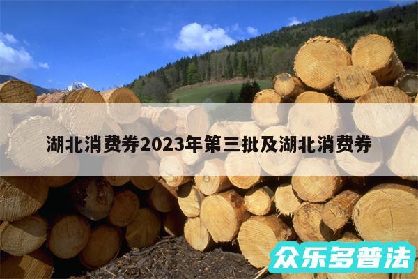 湖北消费券2024年第三批及湖北消费券