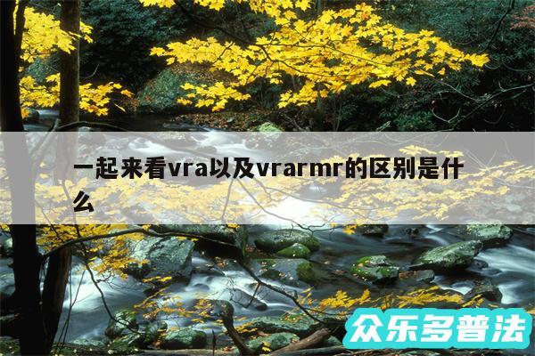 一起来看vra以及vrarmr的区别是什么