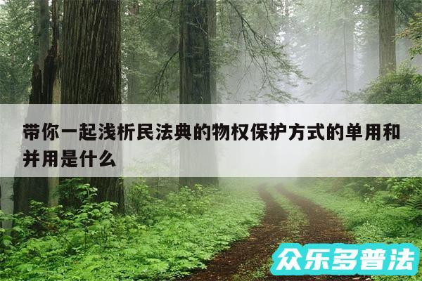 带你一起浅析民法典的物权保护方式的单用和并用是什么