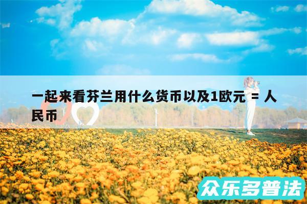 一起来看芬兰用什么货币以及1欧元 = 人民币