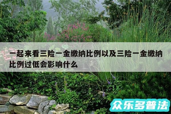 一起来看三险一金缴纳比例以及三险一金缴纳比例过低会影响什么