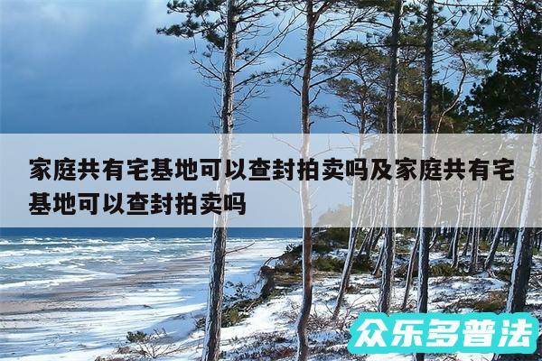 家庭共有宅基地可以查封拍卖吗及家庭共有宅基地可以查封拍卖吗