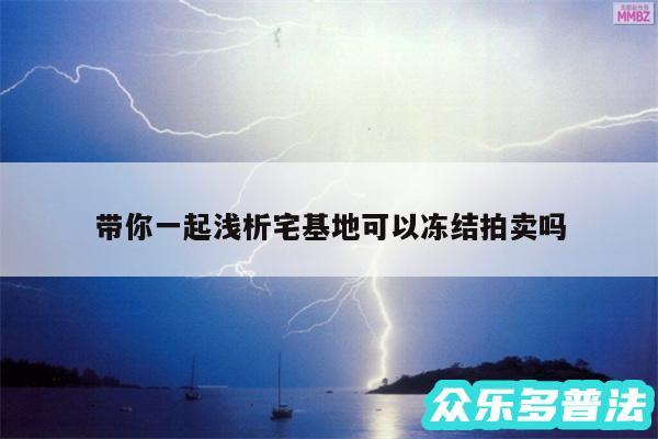 带你一起浅析宅基地可以冻结拍卖吗