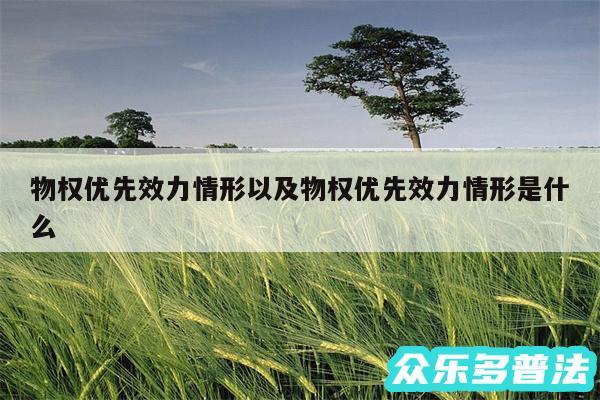物权优先效力情形以及物权优先效力情形是什么