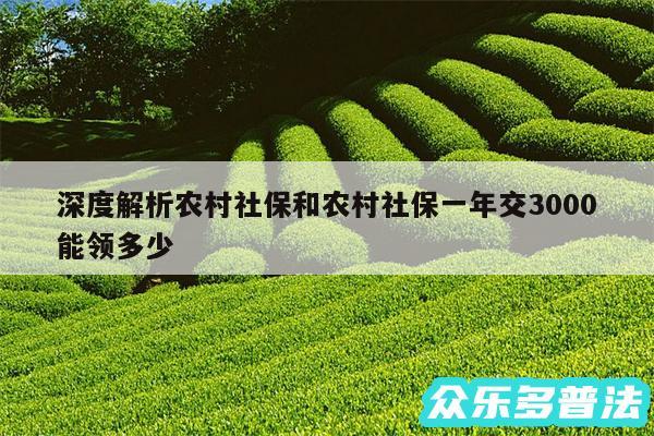 深度解析农村社保和农村社保一年交3000能领多少