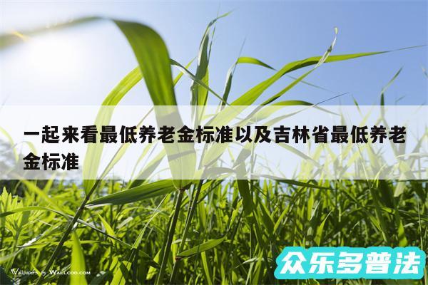 一起来看最低养老金标准以及吉林省最低养老金标准