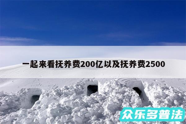 一起来看抚养费200亿以及抚养费2500