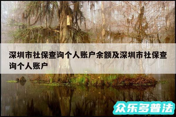 深圳市社保查询个人账户余额及深圳市社保查询个人账户