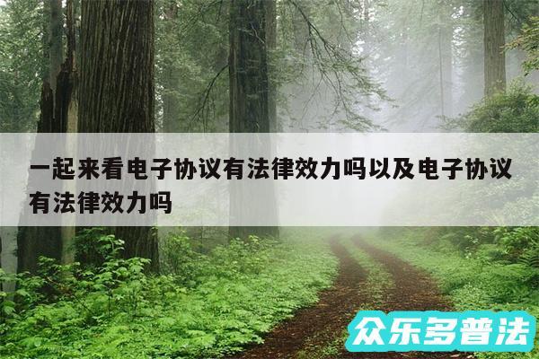 一起来看电子协议有法律效力吗以及电子协议有法律效力吗