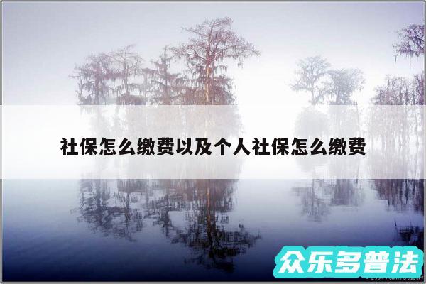 社保怎么缴费以及个人社保怎么缴费