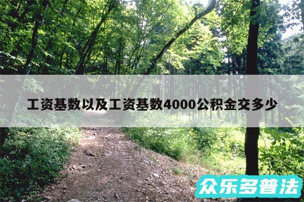 工资基数以及工资基数4000公积金交多少