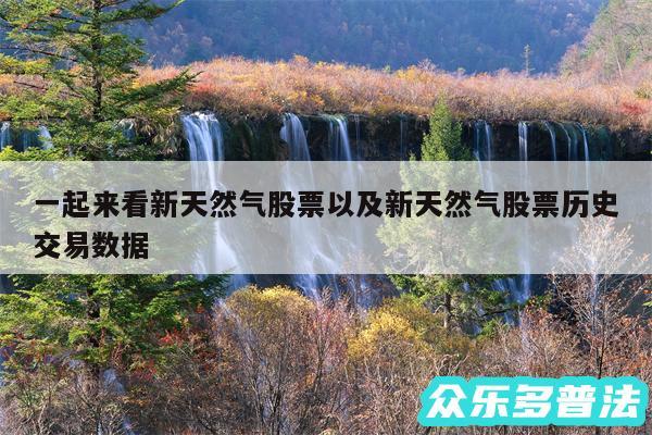 一起来看新天然气股票以及新天然气股票历史交易数据