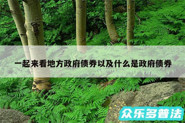 一起来看地方政府债券以及什么是政府债券