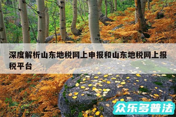 深度解析山东地税网上申报和山东地税网上报税平台