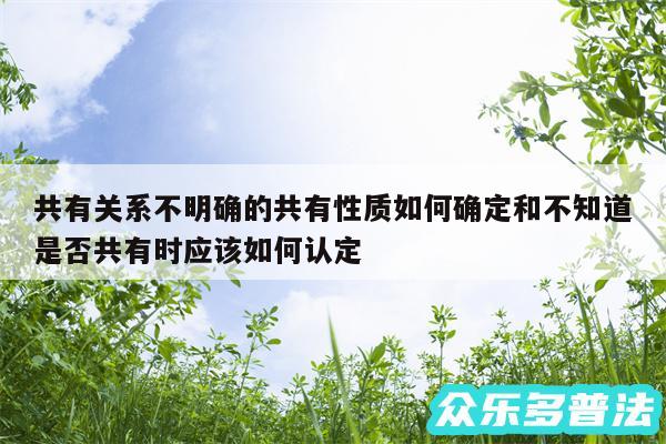 共有关系不明确的共有性质如何确定和不知道是否共有时应该如何认定