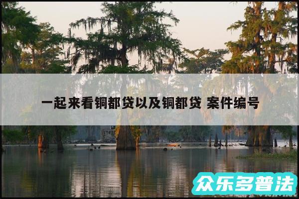 一起来看铜都贷以及铜都贷 案件编号