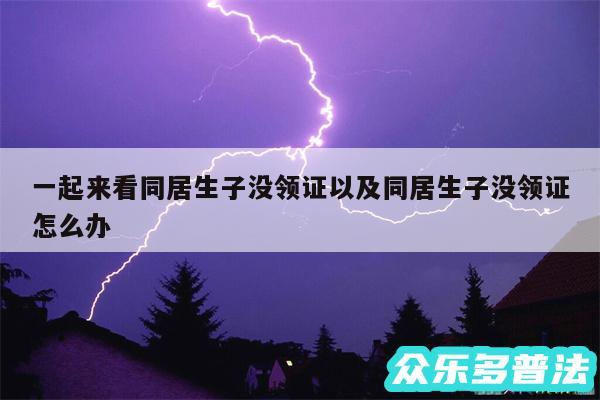 一起来看同居生子没领证以及同居生子没领证怎么办