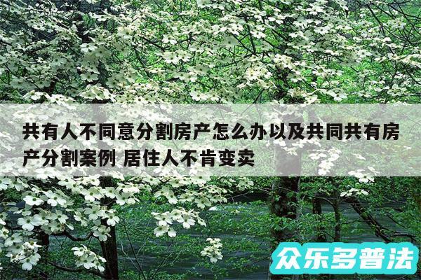 共有人不同意分割房产怎么办以及共同共有房产分割案例 居住人不肯变卖