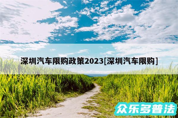 深圳汽车限购政策2024及深圳汽车限购