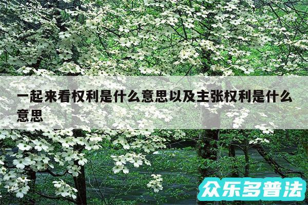 一起来看权利是什么意思以及主张权利是什么意思