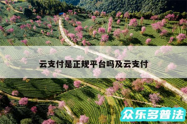 云支付是正规平台吗及云支付
