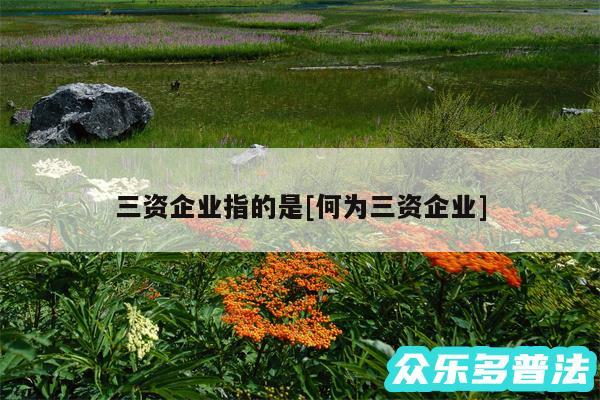 三资企业指的是及何为三资企业