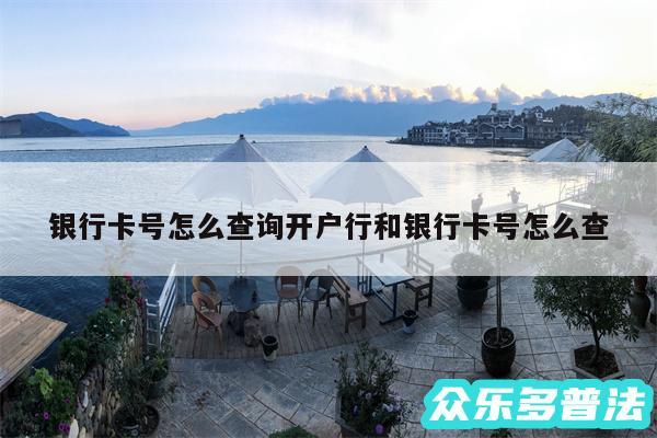 银行卡号怎么查询开户行和银行卡号怎么查