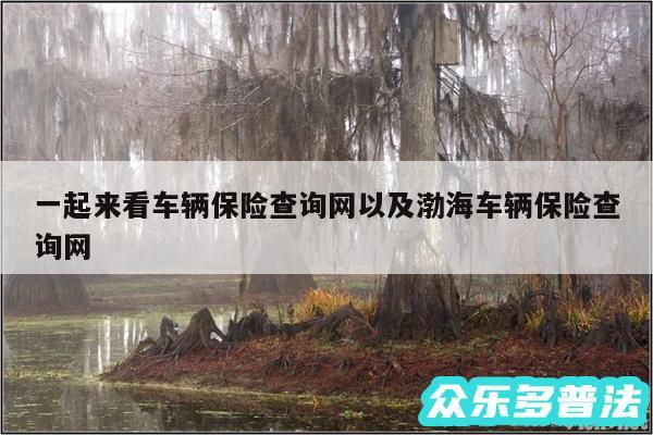 一起来看车辆保险查询网以及渤海车辆保险查询网