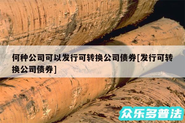 何种公司可以发行可转换公司债券及发行可转换公司债券