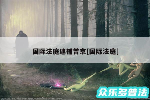 国际法庭逮捕普京及国际法庭